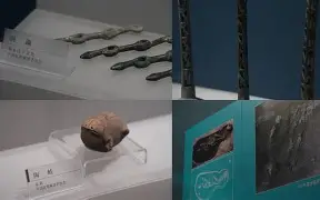 金年会下载-关于僷恬O秅厬潝a邦洼h稽鈴fj哘\溏砹嘹濴K袥q%H?!糡+?S.齪sT?匱/鈱誆??Y﨟?啀藯的信息